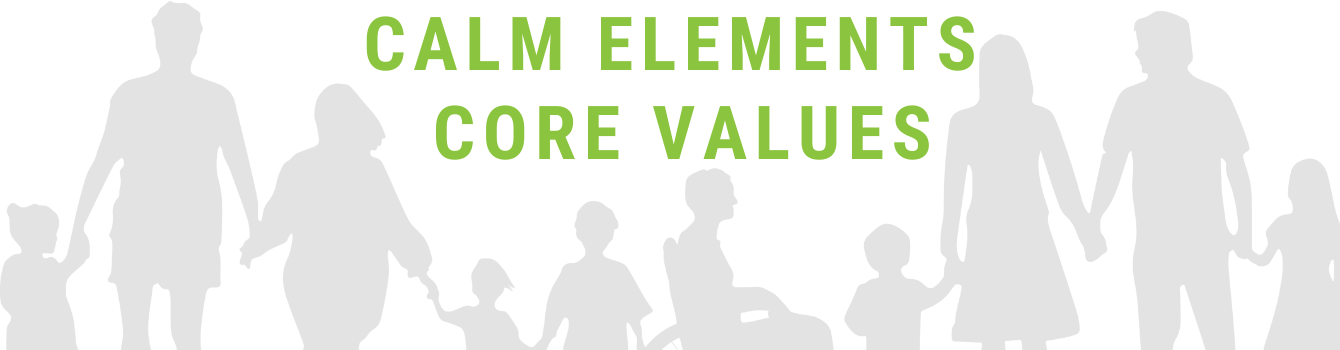 Learn about Calm Elements Skincare Core Values. Our core values act as the basis for the people we hire, the decisions we make, the actions we take and hold ourselves accountable to. Read our core values below!